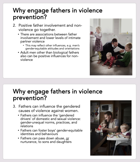 Two slides from Michael Flood's presentation