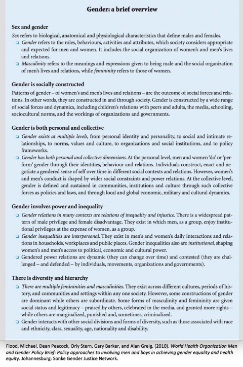 Flood, WHO Policy Brief p. 10 Gender overview