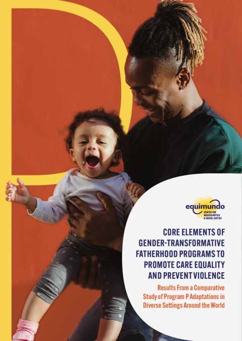 Alemann, Core Elements Of Gender-Transformative Fatherhood Programs To Promote Care Equality And Prevent Violence 2023